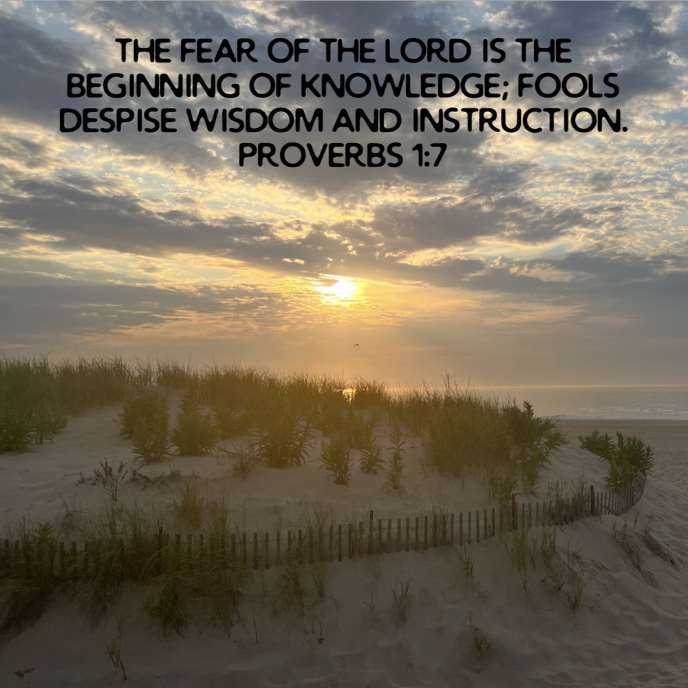 Exploring the Proverbs