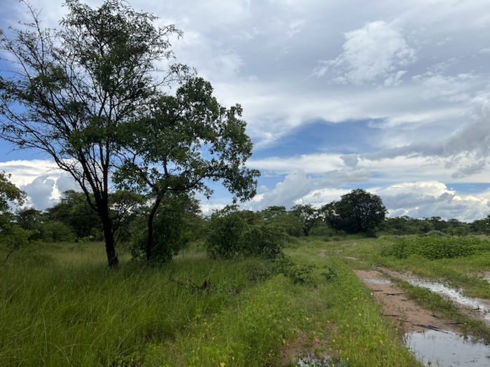 Videos from Zimbabwe