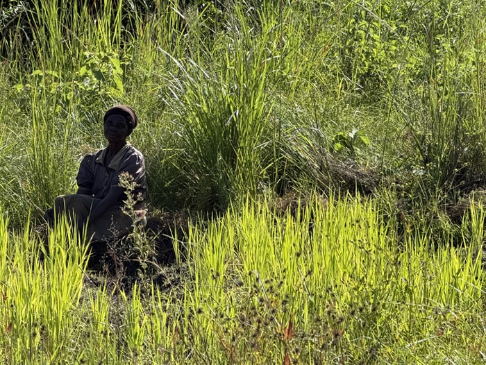 Sabbath Preparations